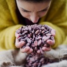 Karamellisert hvit sjokolade med pepperkake, Økologisk, Fjåk thumbnail