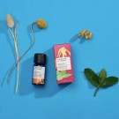 Good Luck Blend - eteriske oljeblanding fra The Nature of Things, 12ml – Appelsin, Peppermynte, Ylang Ylang, Sedertre thumbnail