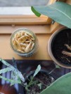 Banan chips, økologisk 250g , løsvekt  thumbnail