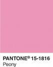 Pantone postkort, boks med 100 stk kort  thumbnail
