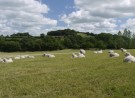 Gentle-top, tynn ullsokk lang ribbestrikk fra Corrymoor, lys mosegrønn (str 41-45) thumbnail