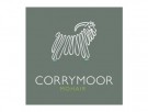 Companion, ribbestrikket ullsokk med forsterket såle fra Corrymoor, sort  thumbnail
