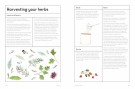 The Medicinal Garden (engelsk) thumbnail