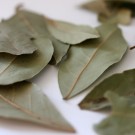 Laurbærblader hele Økologisk, 25g, løsvekt thumbnail