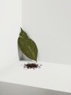 Økologisk English Breakfast fra Cocoon Tea Artisans- Tinnboks (pose-te) (BF: 12.10.23) thumbnail