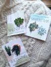 Plantepin - Monstera Obliqua (1 igjen) thumbnail