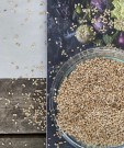 Sesamfrø, Økologisk, 250g, løsvekt  thumbnail