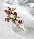WECK® Tulipan, 220 ml thumbnail