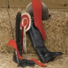 Corrymoor Eventer sokker Red thumbnail