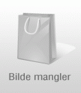 Fugler, kort fra Spring Verksted thumbnail