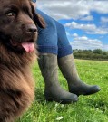 WOODLANDER, TYKKE KNESTRØMPER FRA CORRYMOOR, mørkeblå thumbnail
