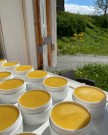 Ringblomstsalve fra Vossabia, 50 ml og 100 ml thumbnail