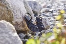 Bornholm (black),  sandal fra Duckfeet thumbnail