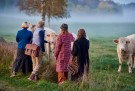 Nyborg (black), foret ankelstøvel fra Duckfeet (fra str 35- 44) thumbnail