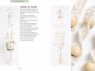Pocket Book of Macrame (Engelsk) thumbnail