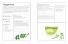 The Medicinal Garden (engelsk) thumbnail