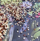 Quinoa hvit, sort og rød, hel, økologisk 1 kg thumbnail