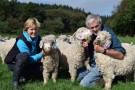 Companion, ribbestrikket ullsokk med forsterket såle fra Corrymoor, knall rosa (str 41-45)) thumbnail
