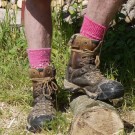 Companion, ribbestrikket ullsokk med forsterket såle fra Corrymoor, knall rosa (str 41-45)) thumbnail