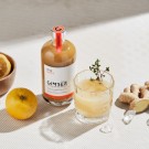 Gimber BRUT No2 - råsaft av ingefær - 500 ml (BF: 19.04) thumbnail