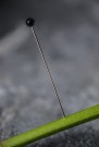 Toilet Pins - store knappenåler fra Merchant & Mills - utgått vare thumbnail