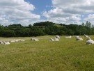 Gentle-top, tynn ullsokk lang ribbestrikk fra Corrymoor, natur (str 45-48) thumbnail