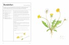 The Medicinal Garden (engelsk) thumbnail