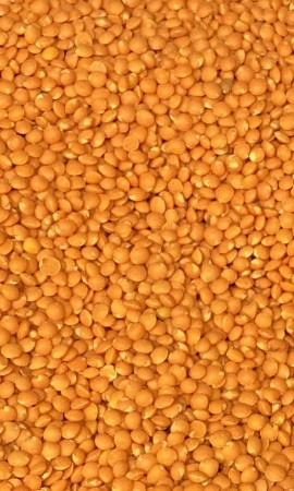 ØKOUKA-TILBUD Økologiske røde linser 500g