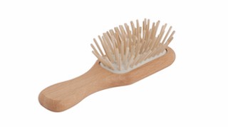 Minibørste med trepinner