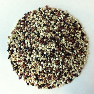 Quinoa hvit, sort og rød, hel, økologisk 500g 