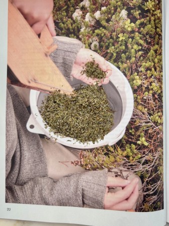 Urtesalt fra middelhavet økologisk, 100g, løsvekt