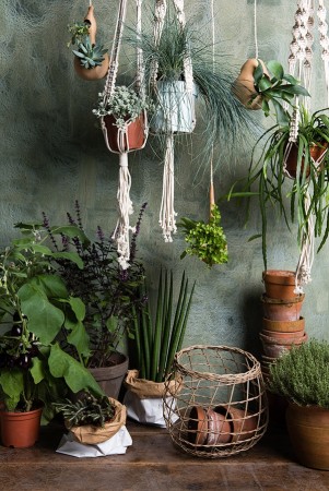 The Plant Guy - Plantehenger i makrame