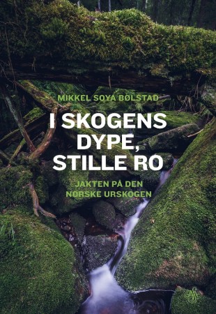 I skogens dype, stille ro av Mikkel Soya Bølstad