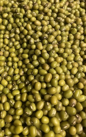 ØKOUKA-TILBUD Økologiske Mungbønner 250g