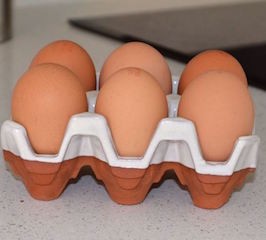 Eggbrett i terracotta til 6 egg (cream)