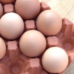 Eggbrett i terracotta til 12 egg (teracotta, uglassert)