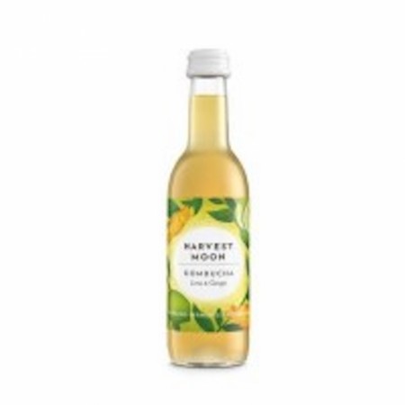 Harvest Moon Kombucha Lime og Ingefær 250ml import ØKO