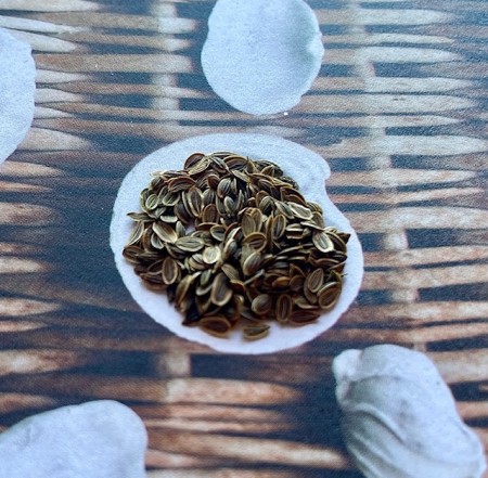 Dill frø, 100g, løsvekt