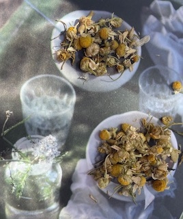 Kamille-te, 50g, løsvekt (ikke økologisk)