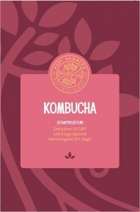 Kombucha startkultur fra Gry Hammer