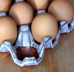 Eggbrett i terracotta til 12 egg (oyster)