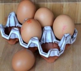 Eggbrett i terracotta til 6 egg (oyster)