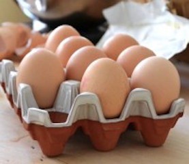 Eggbrett i terracotta til 12 egg (cream)
